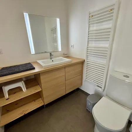 Moderne 1 Ch, Animaux Admis, Acces Plage, Parking Inclus - Fr-1-194-299 *