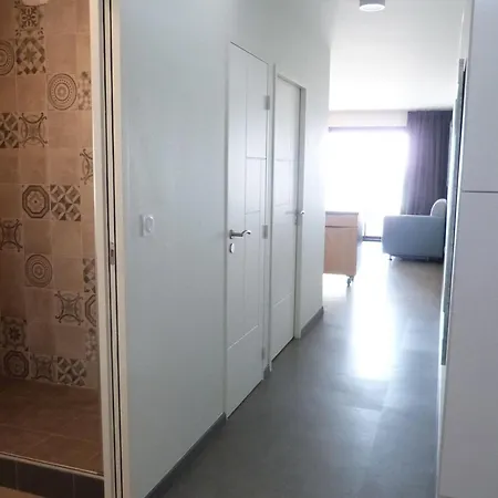 Апартаменты Moderne 1 Ch, Animaux Admis, Acces Plage, Parking Inclus - Fr-1-194-299 *