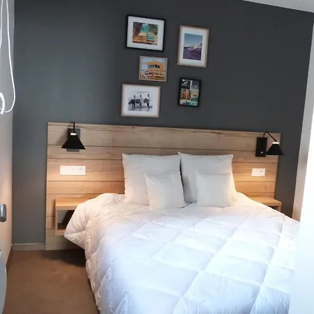 Moderne 1 Ch, Animaux Admis, Acces Plage, Parking Inclus - Fr-1-194-299