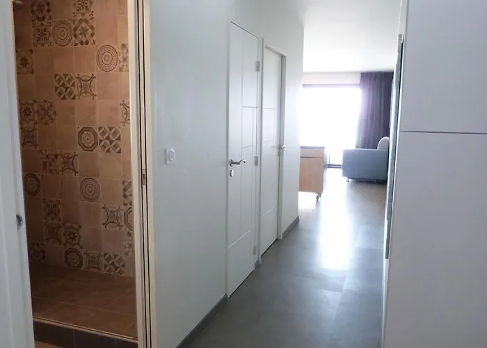 Appartement Moderne 1 Ch, Animaux Admis, Accès Plage, Parking Inclus - Fr-1-194-299 *