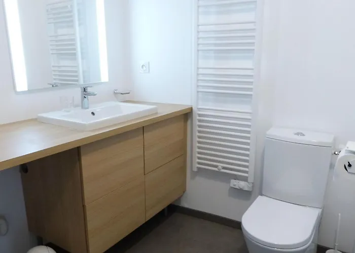 Moderne 1 Ch, Animaux Admis, Accès Plage, Parking Inclus - Fr-1-194-299 Appartement